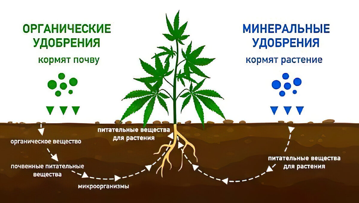 Недостаток разнообразия. Удобрение органическое. Органические и Минеральные удобрения. Химические удобрения. Влияние органических удобрений на растения.