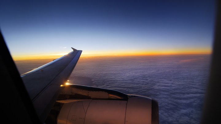 ФОТО: IMAGEBROKER/MANFRED BAIL/GLOBALLOOKPRESS 