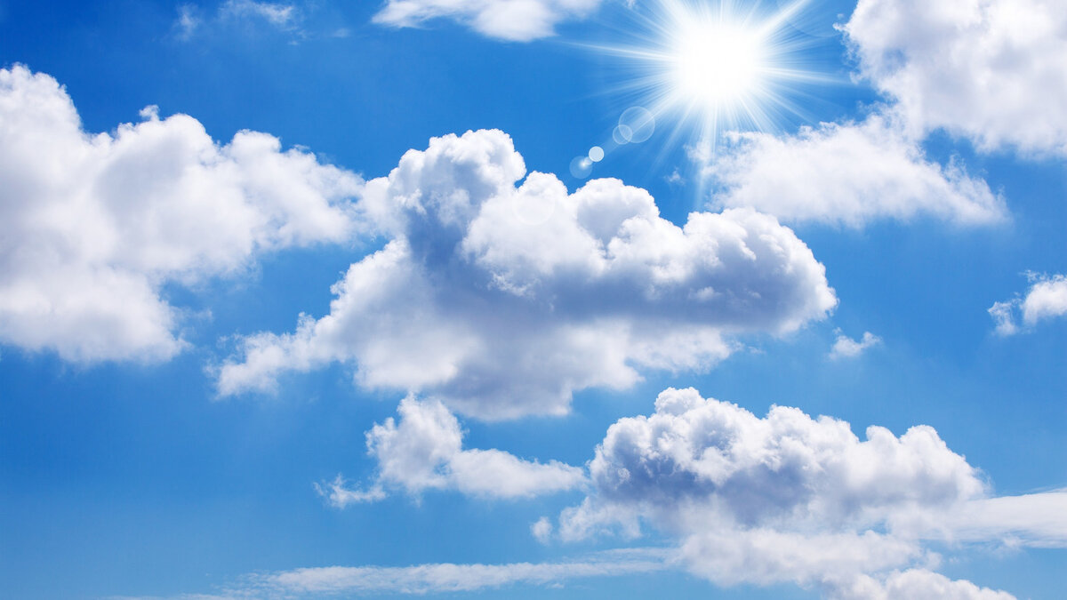 Фото взято из ресурса Яндекс.Картинки