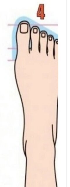 Египетская стопа. 