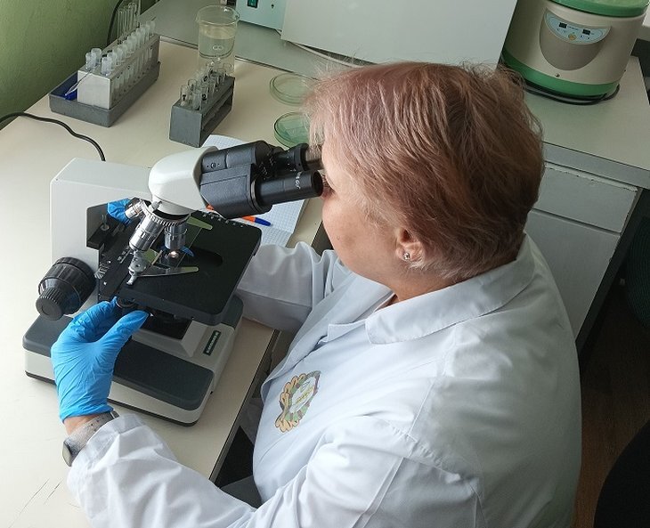     Как отбить урожай у фузариоза
