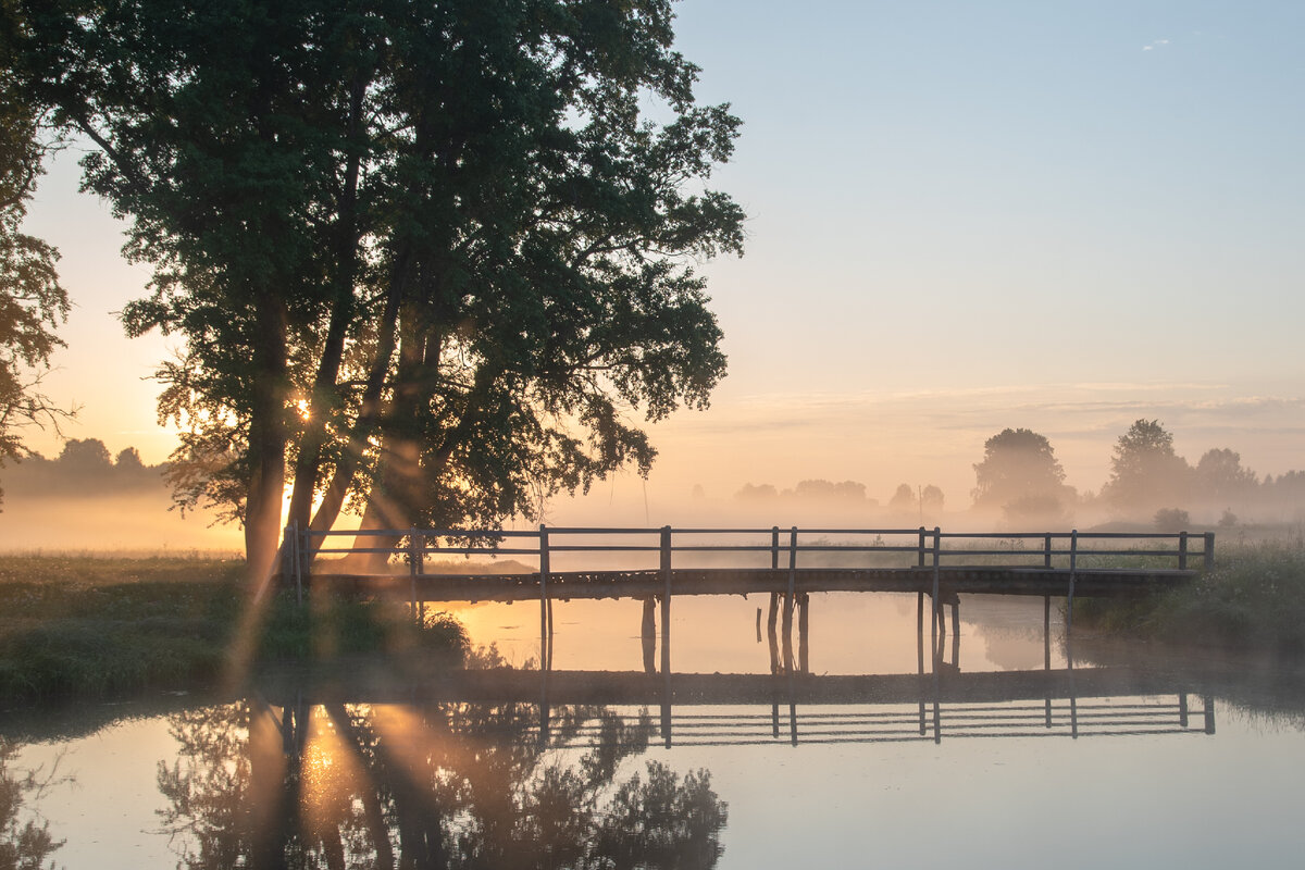 Туман и Солнце