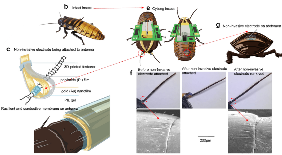   Qifeng Lin et al. / npj Flexible electronics, 2023