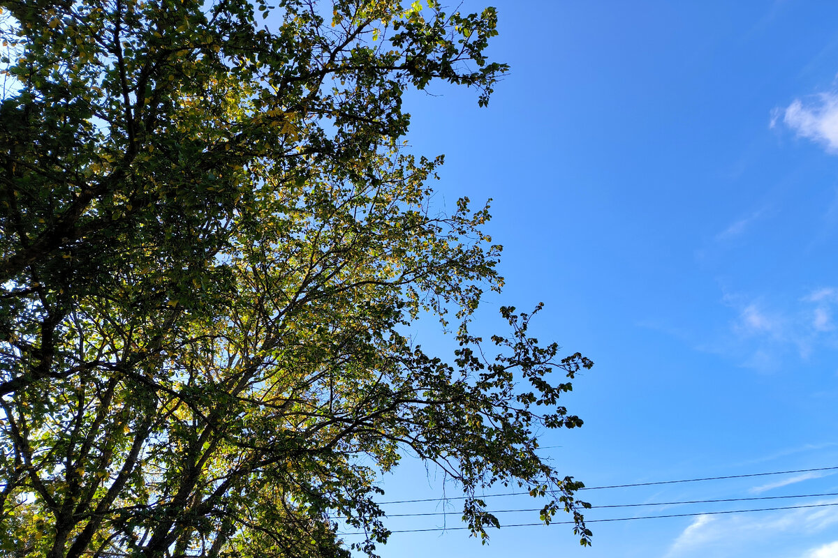 ФОТО: MAKSIM KONSTANTINOV/GLOBAL LOOK PRESS