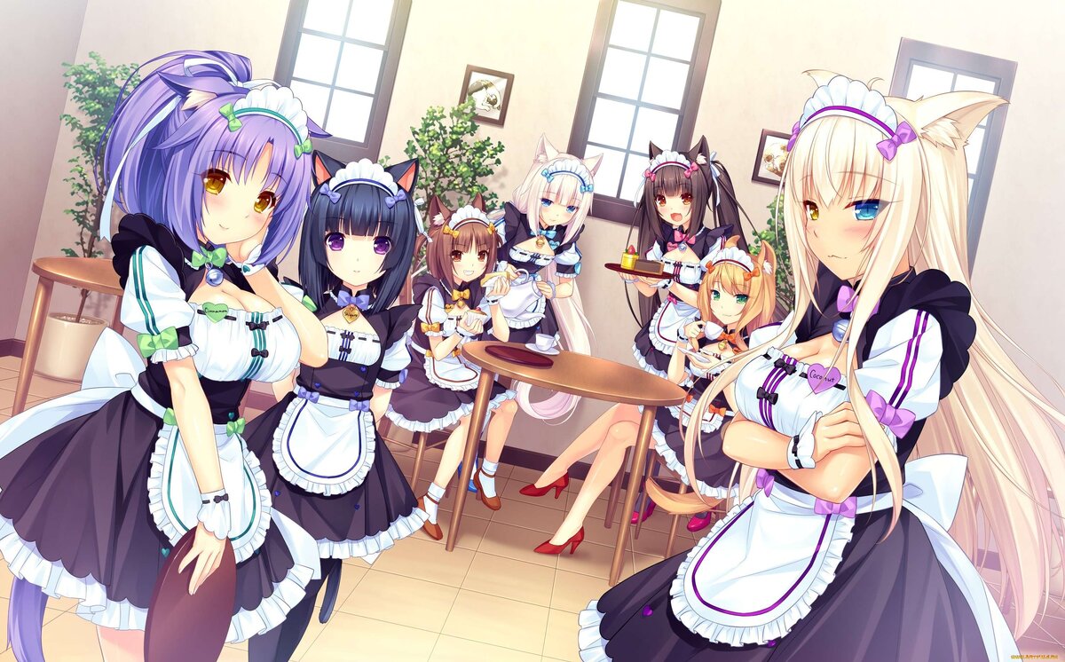 АНИМЕРЕЦЕНЗИЯ: NEKOPARA 710 | ФОЛИАНТ V.F. | Дзен