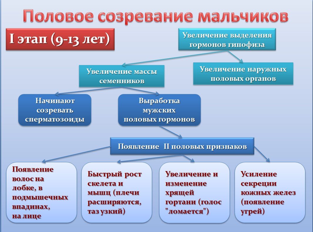 Презентация на тему половое созревание