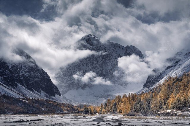 Фото: Дмитрий Купрацеви