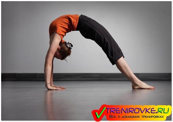 Суть йоги Айенгара