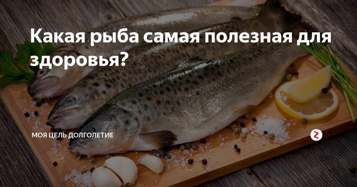 Какая рыба самая полезная для здоровья? | моя цель долголетие | Дзен