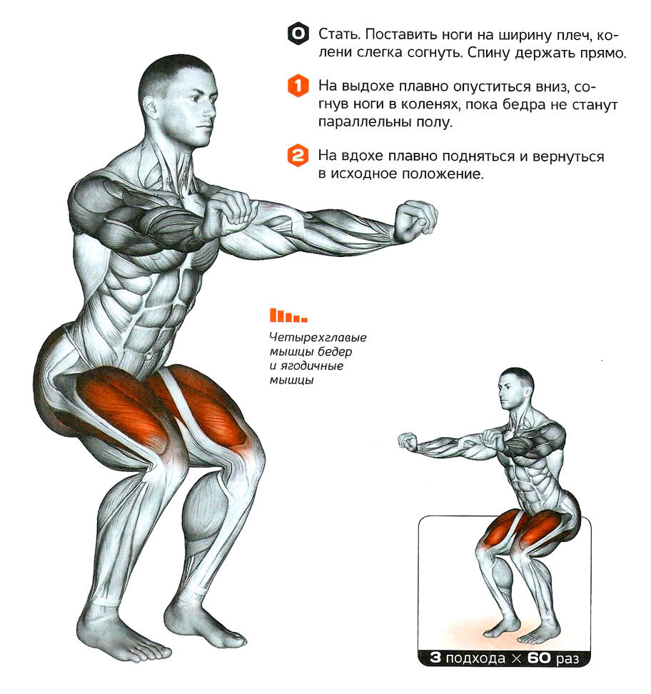 Фронтальные приседания техника