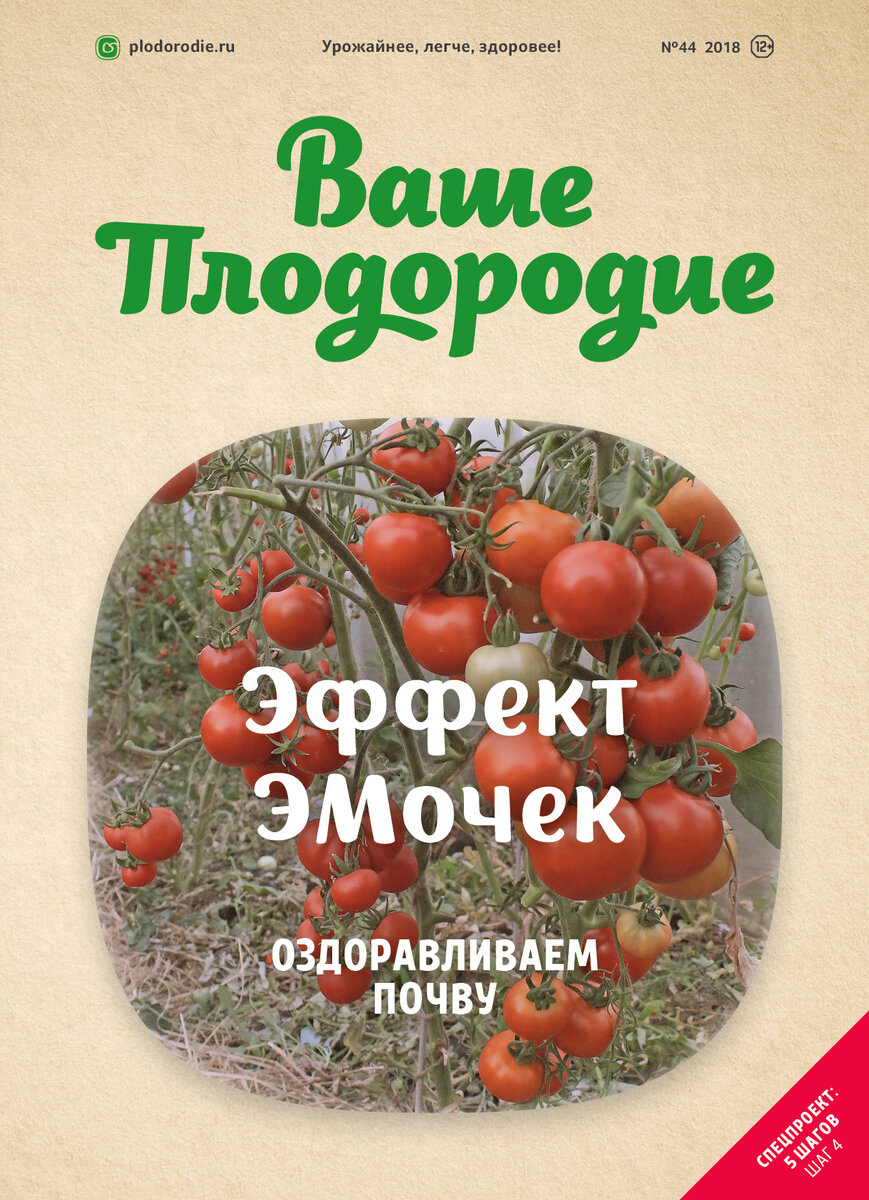 Плодородие журнал. Томат ваше плодородие. Книги о природном земледелии. Таблица соседей овощей на огороде.