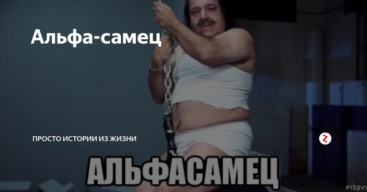 Альфа самец мальчика. Альфа самец. Признаки Альфа самца. Мужчина Альфа самец признаки. Альфа самка.