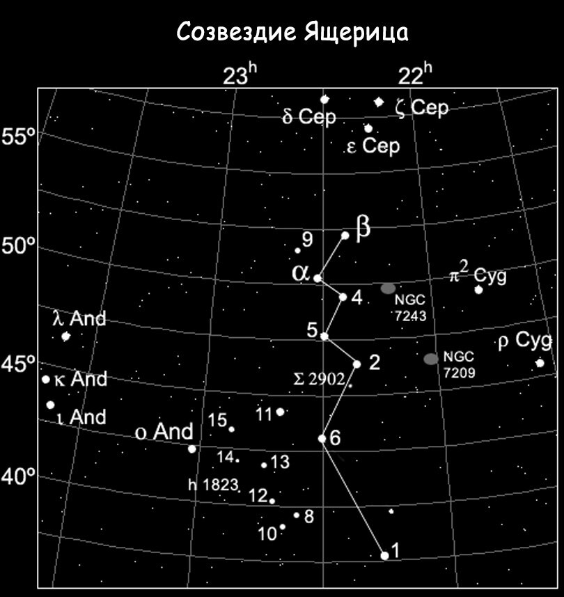 Созвездие Ящерица