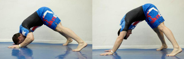 фото с сайта turnikom.ru