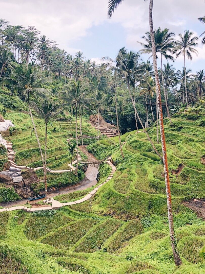                                                                 Ubud