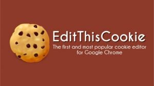 Например, вы часто посещаете сайт, среди настроек которого есть возможность выбора языка отображения информации. Чтобы каждый раз не указывать желаемый язык при посещении странички информация о выбранном языке записывается в файл Куки и пересылается на сервер. В итоге Вы, единожды указав настройки любимых страничек, при каждом посещении уже будете получать информацию в удобном для Вас виде.