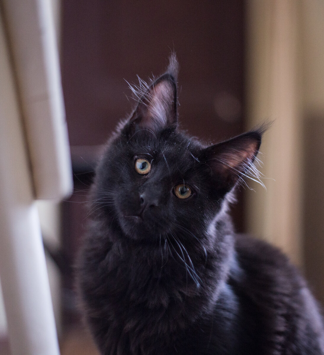 Фото: Антон Усанов, МОСГОРТУР