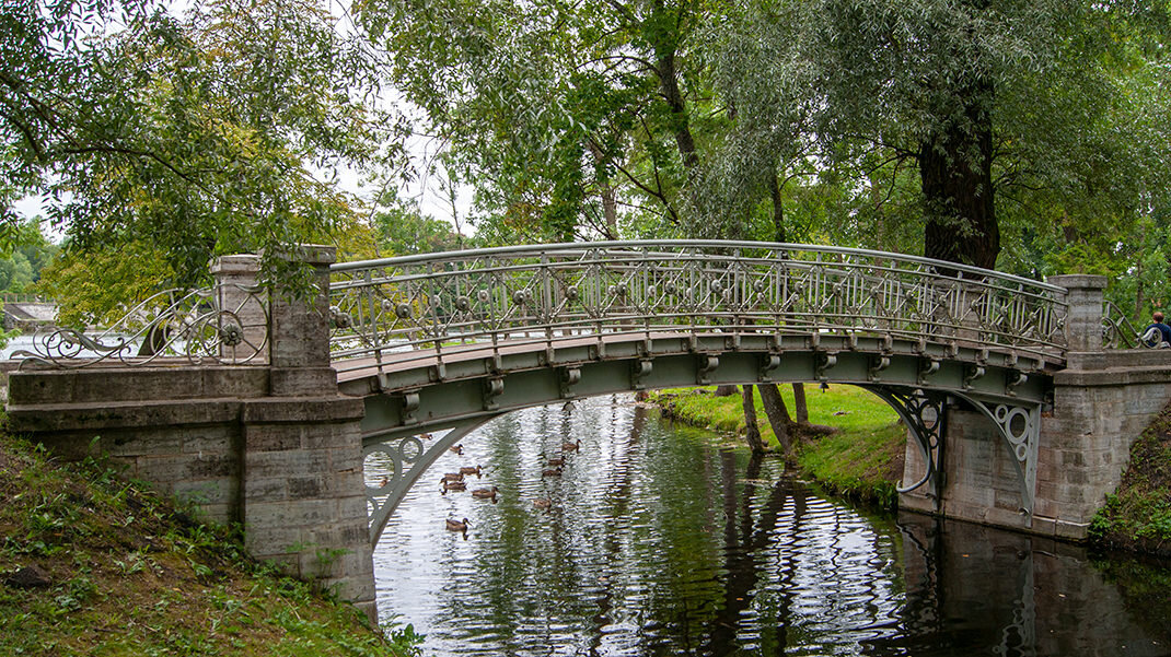 Парк в гатчине фото