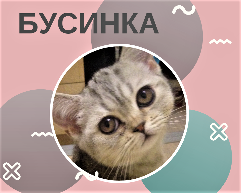 Бусинка. Невинное создание.
