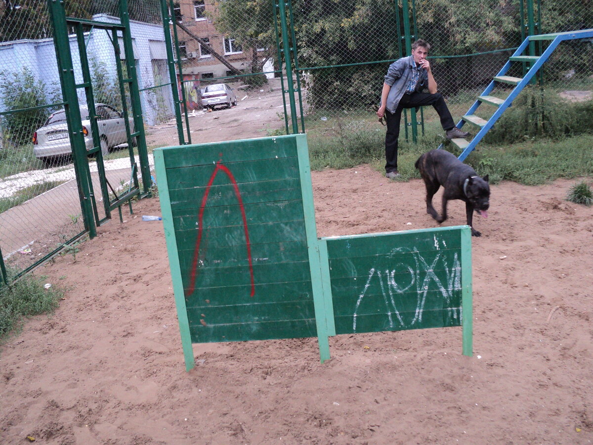 Площадка для выгула собак. Площадка для собак в городе Муром. Собаки в Серпухове. Площадка для тренировки собак Тамбов. Собака на школьной площадке.