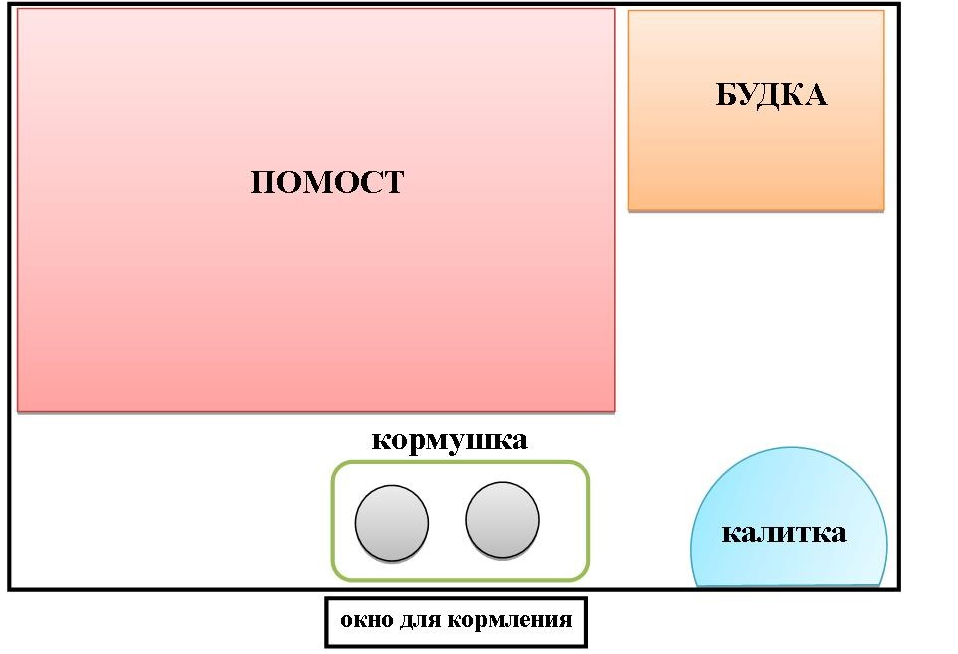 Вольер для собаки: основные требования и правила сооружения