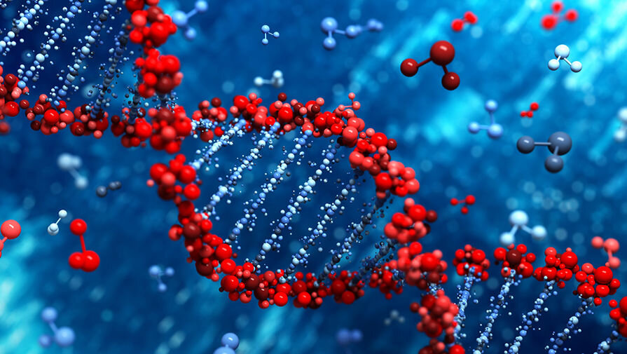 Компьютерная модель фрагмента цепочки ДНК-нити
