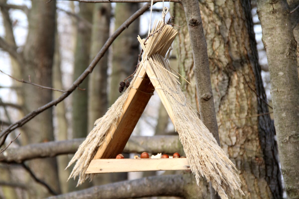 Тоже простенько, но... Живописно! Крыша решает всё! Обычный треугольник, сбитый из досок, защищает корм от снега и частично от ветра. К нему несложно прикрепить засушенные травы, солому, веточки (например, тонкие берёзовые). Или даже пустить на благое дело старый веник. Птицы и белки наверняка оценят!