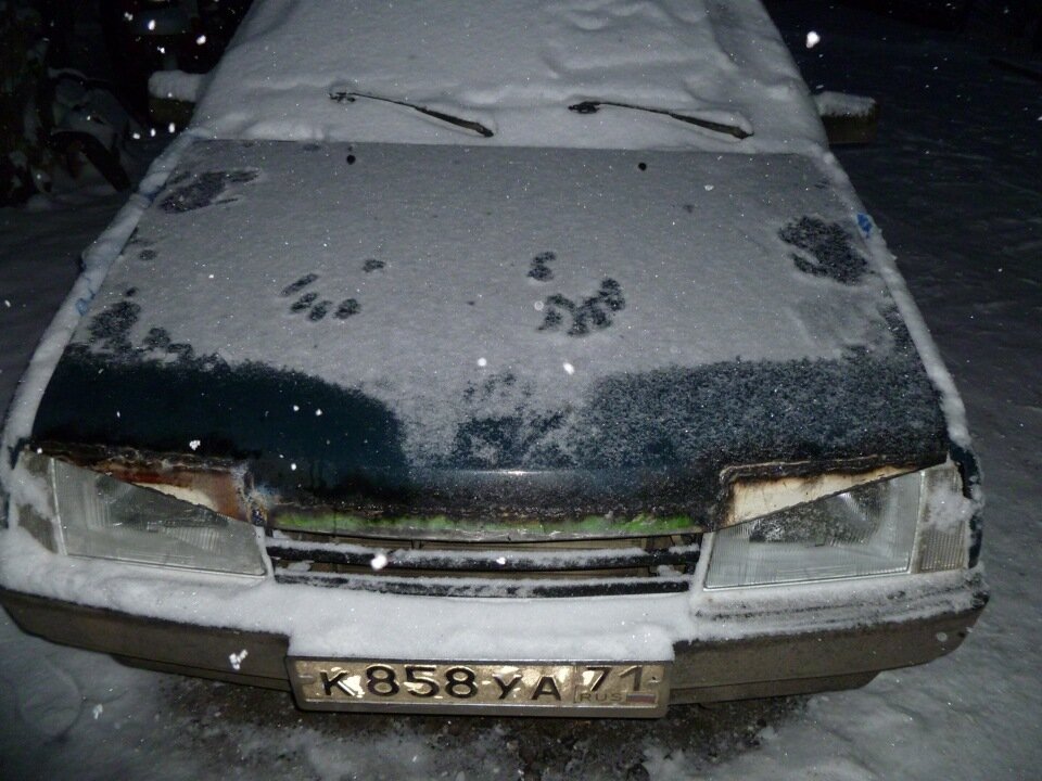 Поначалу было страшно😅