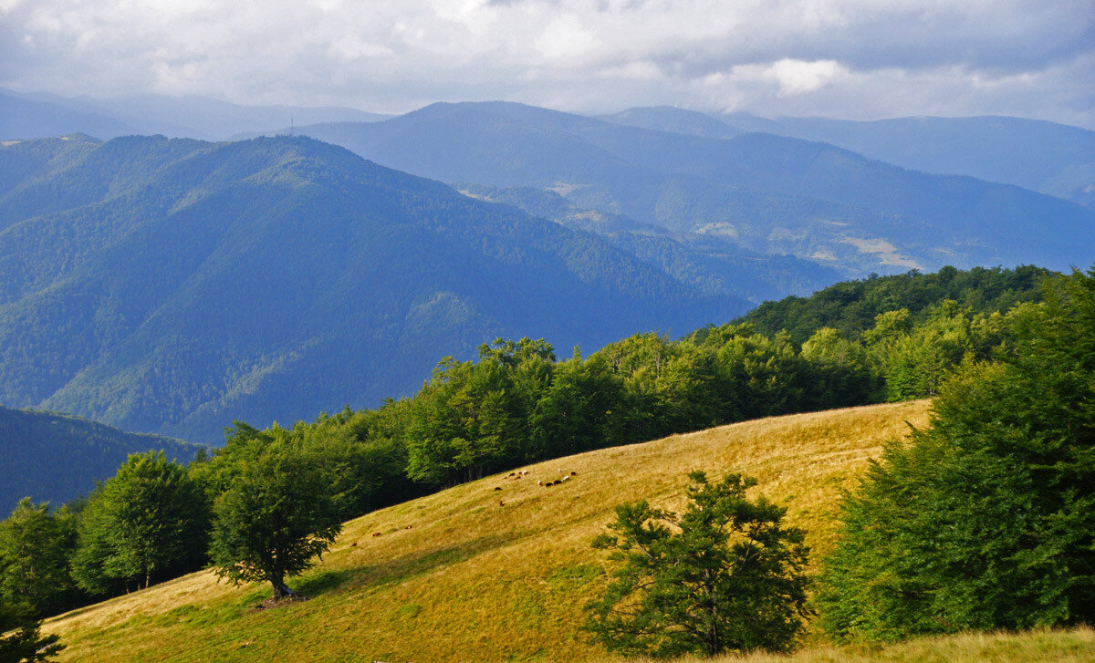 Набор кастрюль стальэмаль 1с33 6 пр. Картинка 1. 1с логотип. 1с фирма 1с логотип. Фирма 1с логотип.