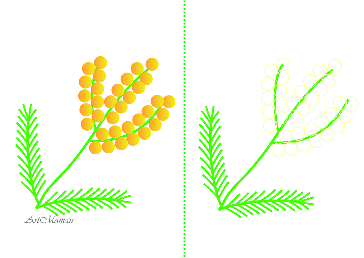 Мимоза нарисовать с детьми. Веточка мимозы заготовка. Веточка мимозы рисование. Аппликация Мимоза. Мимоза рисунок для детей.