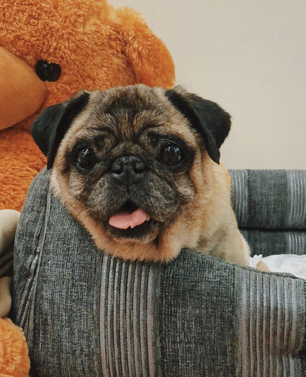 Четвёртый день в его настоящем ДОМЕ с любимой семьей