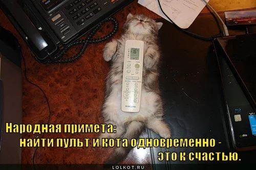Третьи апреля домашняя. День придумывания хороших примет. Смешные народные приметы фото. День придумывания хороших примет картинки. День придумывания хороших примет 3 апреля