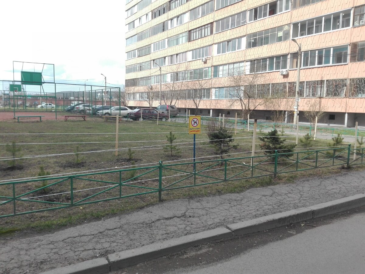 Площадь придомовая территория ЖК сосны в Новосибирске