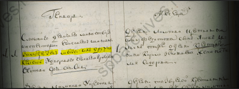Метрическая запись 1803 года о рождении дочери Анисии у дворового человека Дружносельской мызы Григория Осипова. Указано, что мыза принадлежит инспекторше Смольного девичьего монастыря Елизавете Ивановне Зельберейзен
