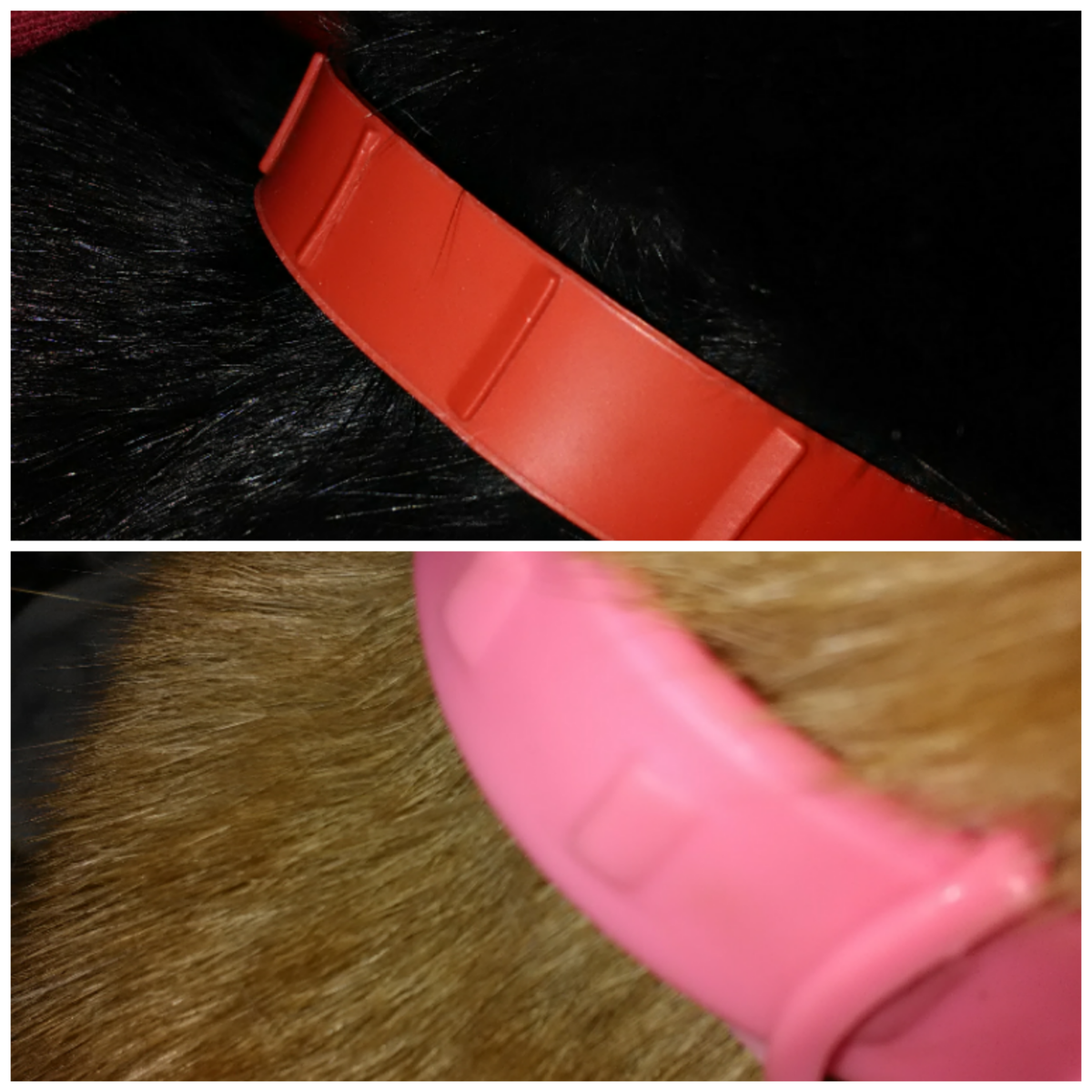 Внутренняя сторона 