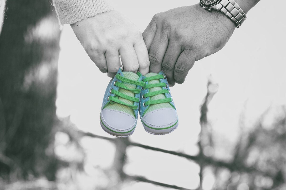 Фото: pixabay.com