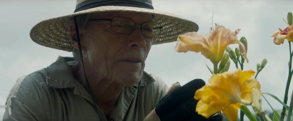 Кадр из "Наркокурьера"