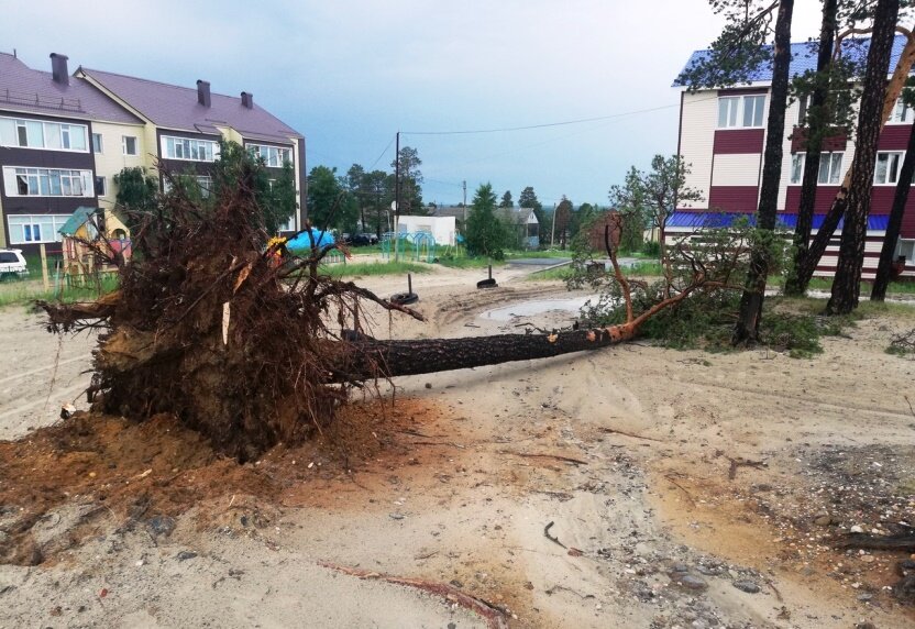 Фото: Вадим Слышик, группа «Происшествия Ноябрьск», «Вконтакте».