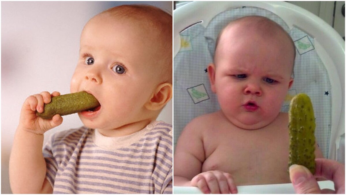 Фото: Яндекс Картинки