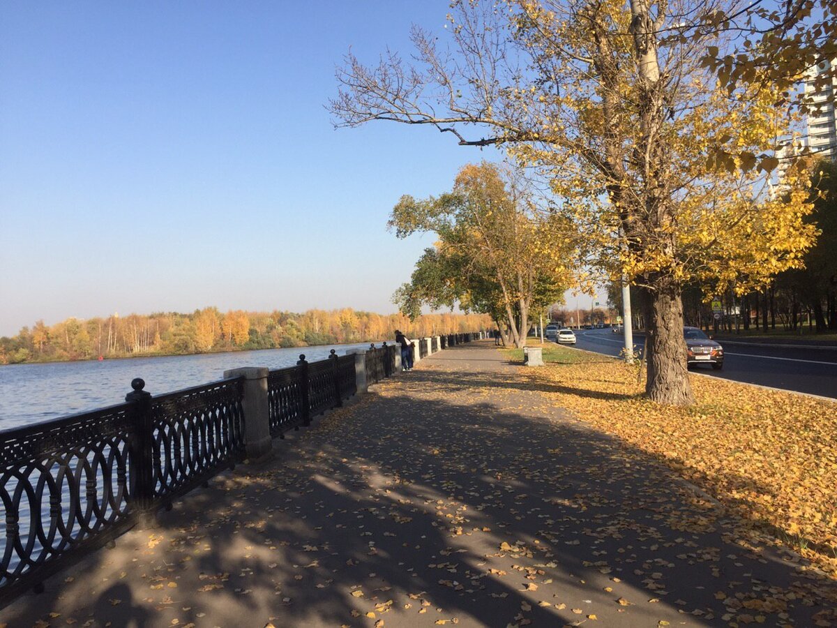 Аллея вдоль набережной в спальном районе Нагатинский затон, до Кремля на машине 20 минут, на общественном транспорте около 30