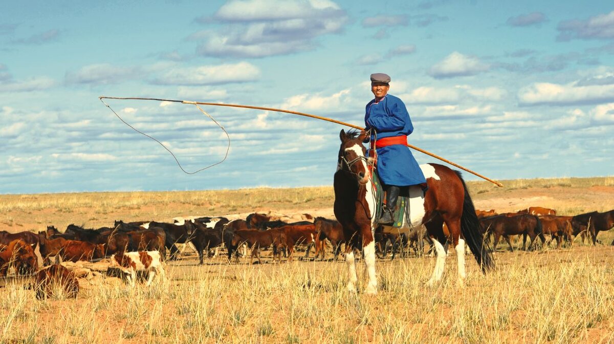 Основной промысел монголов - скотоводство.
