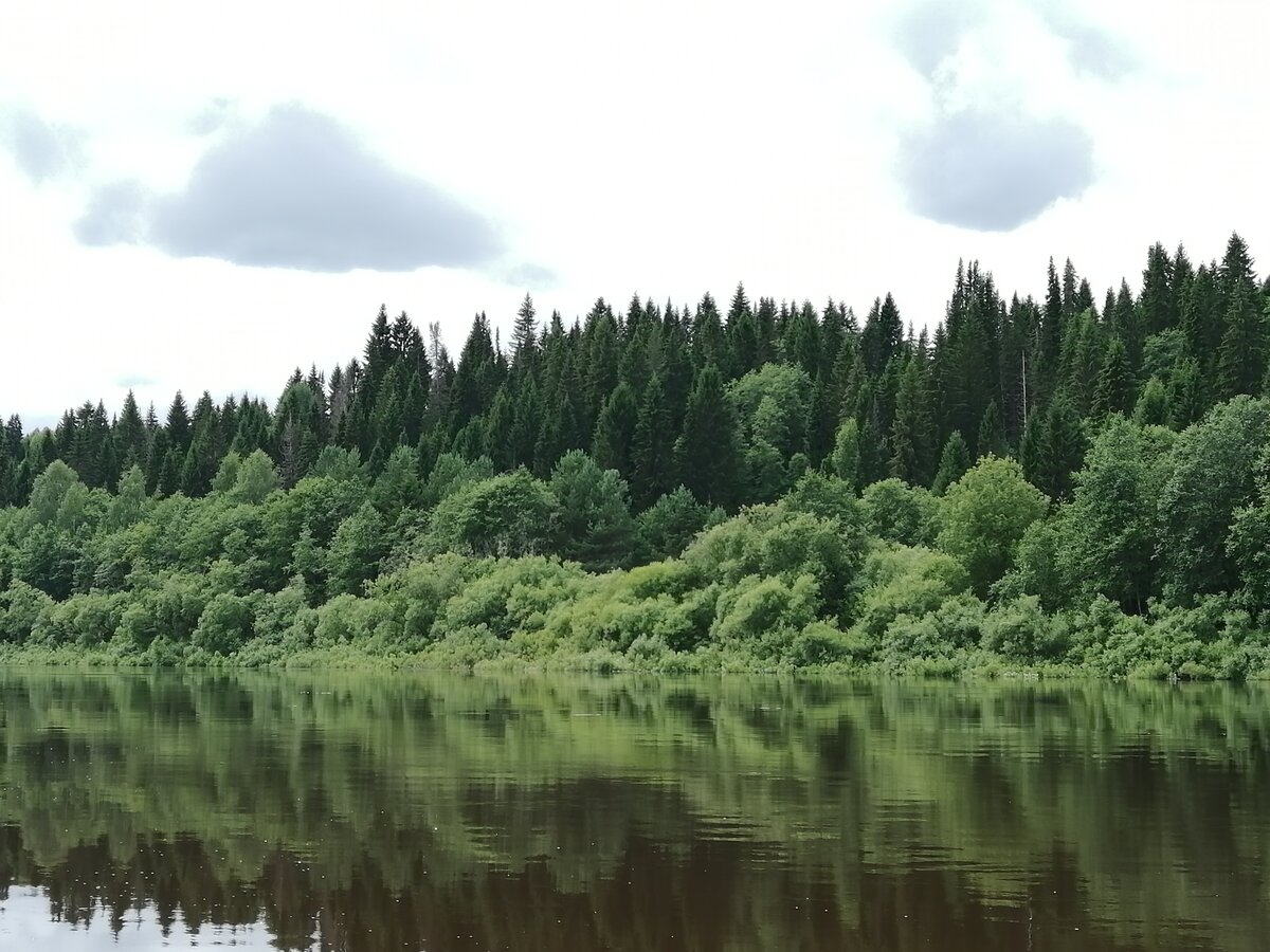 Кологривский лес реки