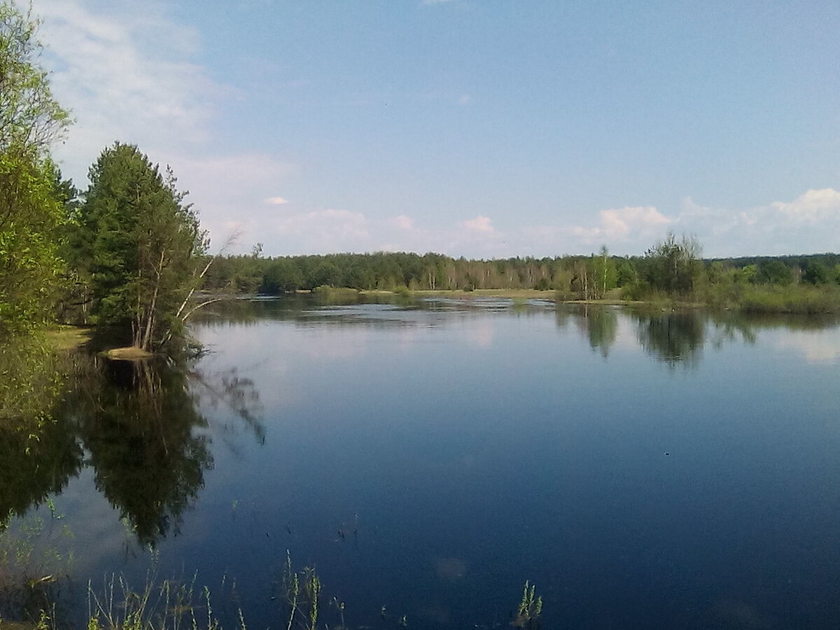 Мещерский край. Поселок Мещерский. Прелесть мещерского края