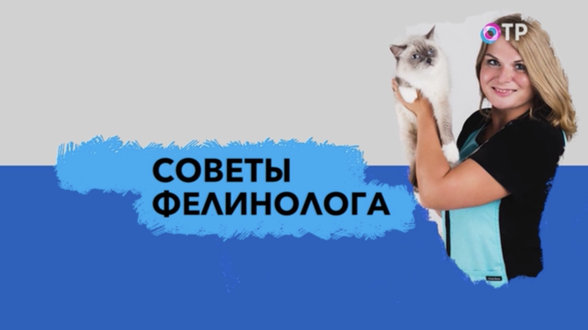 Заставка нашей рубрики в передаче «Домашние животные»