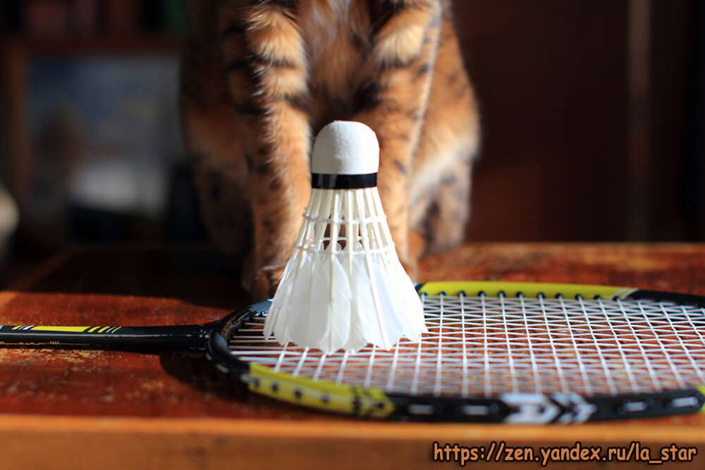 Я еще и фоткаю )) И в бадминтон иногда разминаюсь ) Авторское фото.