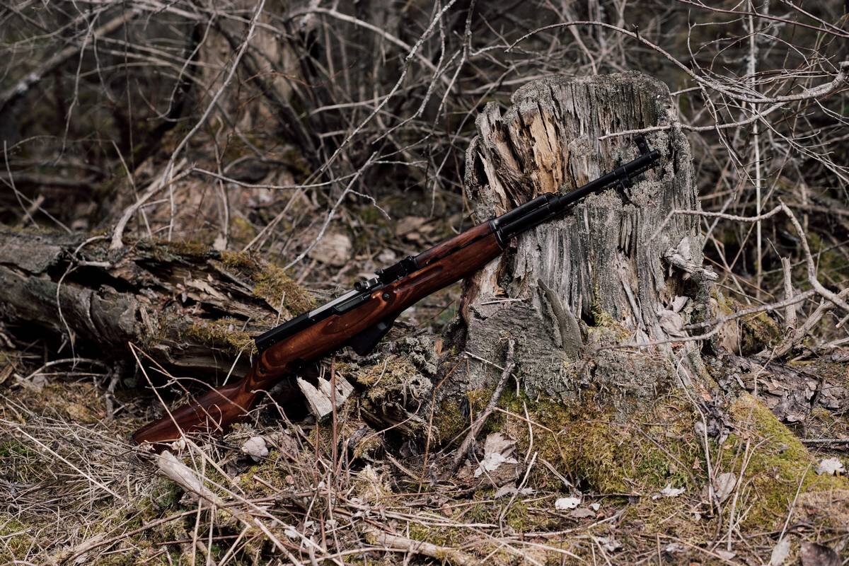 самозарядный карабин симонова скс 7. карабин скс 7 62 39 охотничий. охотничий карабин скс ланкастер. скс калибр 7. оружие скс карабин охотничий.