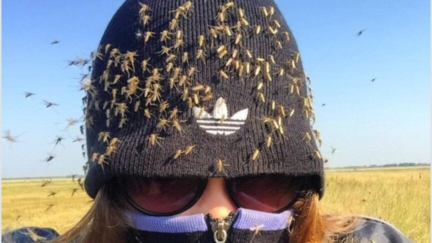 Тут нужна категория D