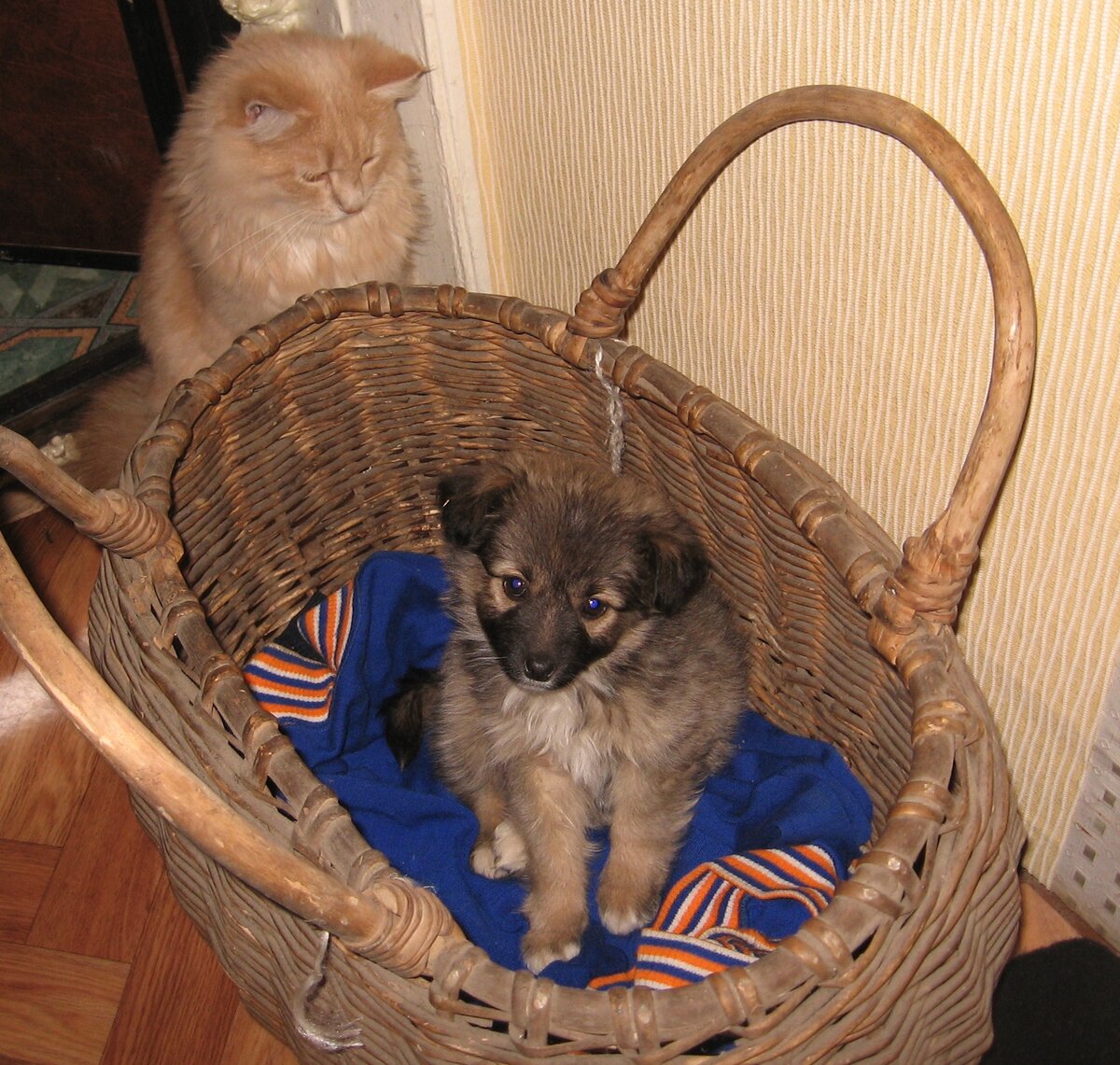 Фото автора