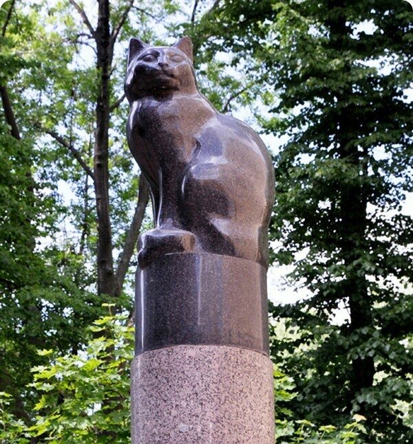 Взято с сайта http://www.zoopicture.ru