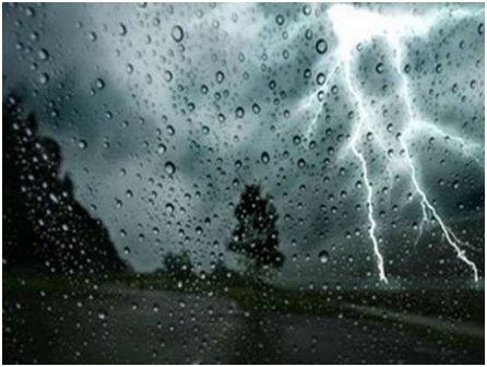 Фото взято из открытых источников